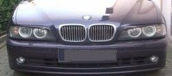 1 649 р. Реснички на фары Badlook  BMW 5 серия  E39 (1995-2003) седан дорестайлинг, седан рестайлинг (Неокрашенные)  с доставкой в г. Москва. Увеличить фотографию 1