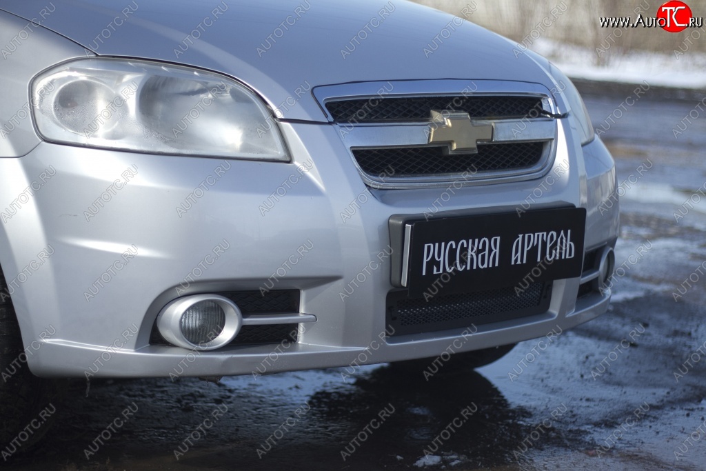 1 039 р. Защитная сетка решетки переднего бампера RA Chevrolet Aveo T250 седан рестайлинг (2006-2011)  с доставкой в г. Москва