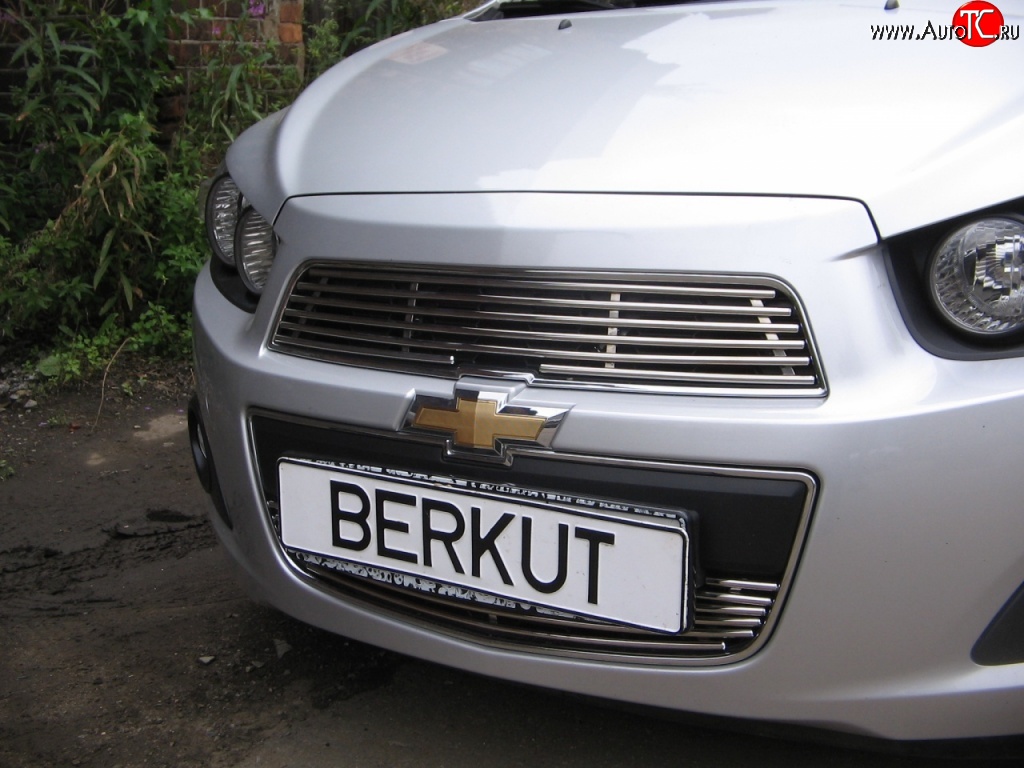 4 399 р. Декоративная вставка решетки радиатора Berkut Chevrolet Aveo T300 хэтчбек (2011-2015)  с доставкой в г. Москва