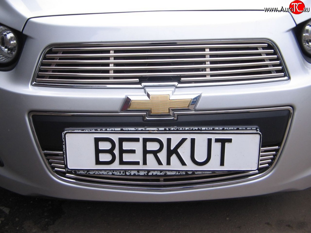 3 999 р. Декоративная вставка воздухозаборника Berkut Chevrolet Aveo T300 хэтчбек (2011-2015)  с доставкой в г. Москва