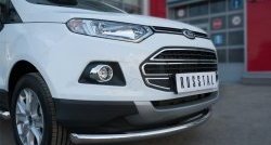 17 399 р. Одинарная защита переднего бампера диаметром 63 мм SLITKOFF Ford EcoSport дорестайлинг (2013-2019)  с доставкой в г. Москва. Увеличить фотографию 2