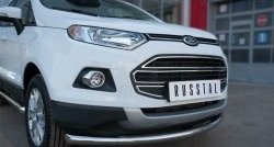 17 399 р. Одинарная защита переднего бампера диаметром 63 мм SLITKOFF Ford EcoSport дорестайлинг (2013-2019)  с доставкой в г. Москва. Увеличить фотографию 3