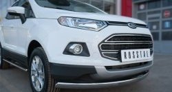 15 649 р. Защита переднего бампера (Ø75х42 мм, нержавейка) Russtal Ford EcoSport дорестайлинг (2013-2019)  с доставкой в г. Москва. Увеличить фотографию 2