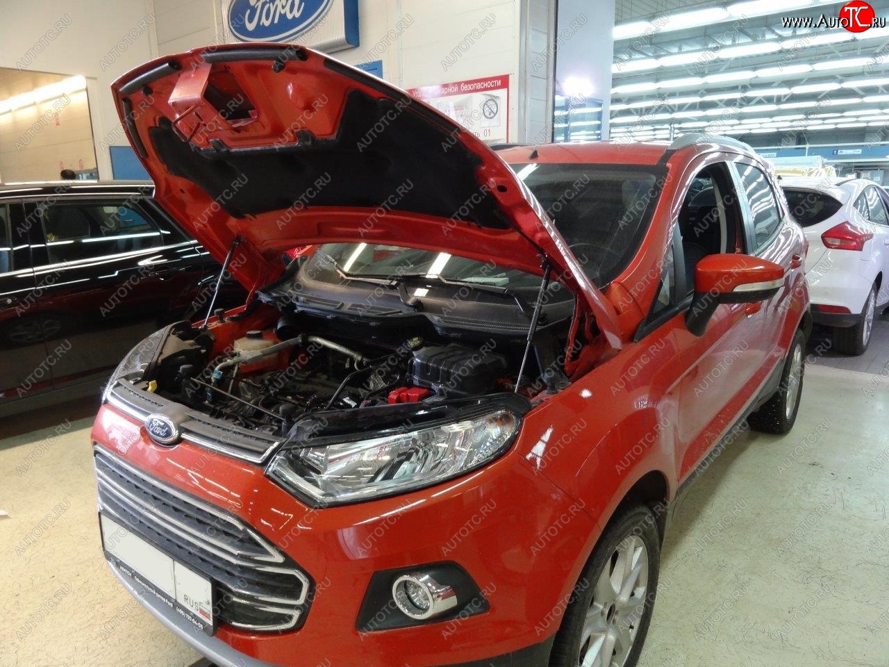 2 299 р. Упоры капота Russtal Ford EcoSport дорестайлинг (2013-2019)  с доставкой в г. Москва