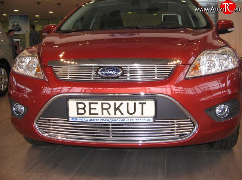 4 999 р. Декоративная вставка решетки радиатора Berkut Ford Focus 2 хэтчбэк 3 дв. рестайлинг (2007-2011)  с доставкой в г. Москва