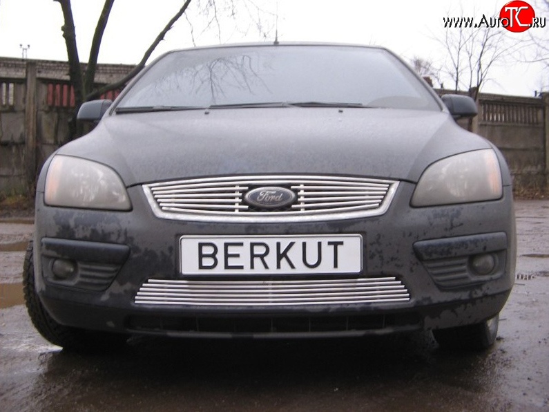 4 999 р. Декоративная вставка решетки радиатора Berkut Ford Focus 2 хэтчбэк 5 дв. дорестайлинг (2004-2008)  с доставкой в г. Москва