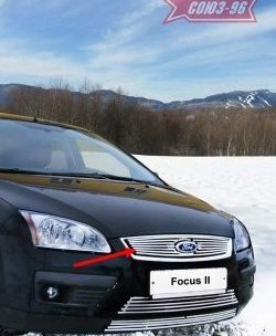 3 824 р. Декоративный элемент решетки радиатора Souz-96 (d10) Ford Focus 2 хэтчбэк 5 дв. дорестайлинг (2004-2008)  с доставкой в г. Москва. Увеличить фотографию 1