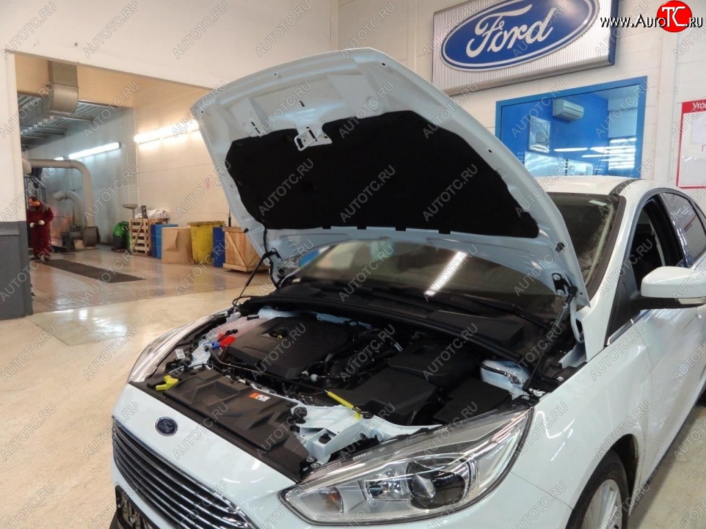 2 199 р. Газовые упоры капота Berkut Ford Focus 3 хэтчбэк дорестайлинг (2010-2015)  с доставкой в г. Москва