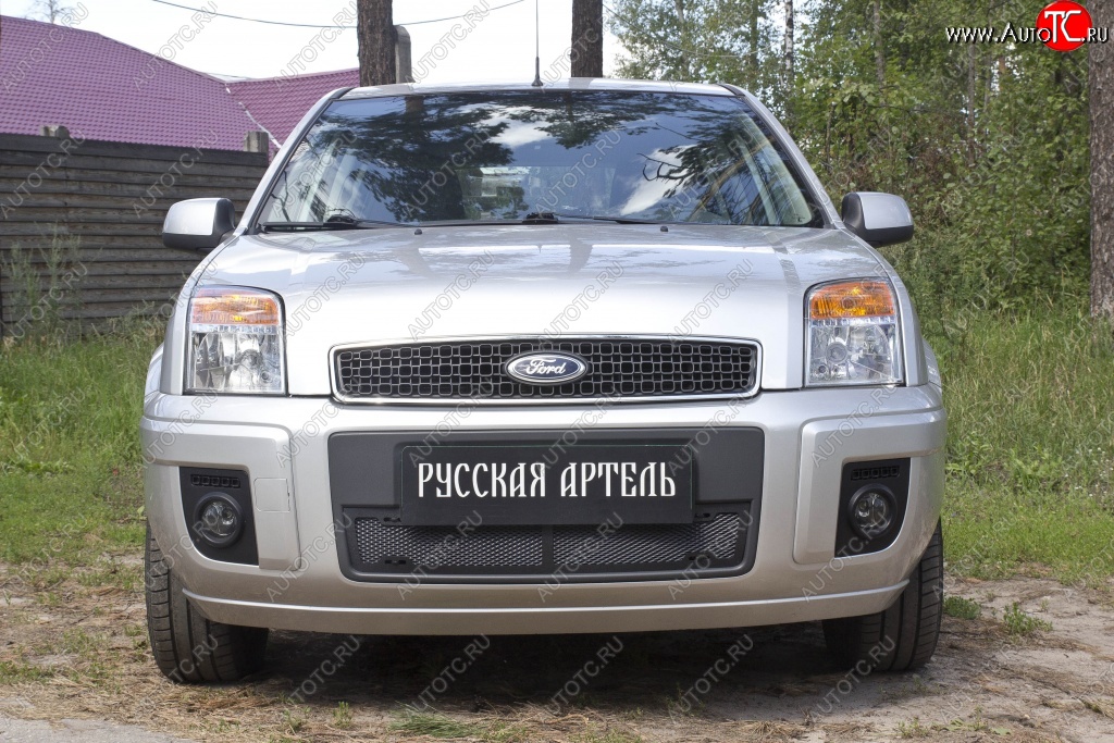 2 159 р. Защитная сетка решетки переднего бампера РА  Ford Fusion  1 (2005-2012)  рестайлинг, хэтчбэк  с доставкой в г. Москва