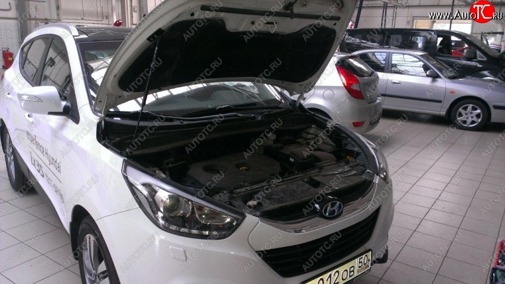 2 199 р. Газовые упоры капота Berkut Hyundai IX35 LM рестайлинг (2013-2018)  с доставкой в г. Москва