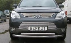 4 799 р. Декоративная вставка решетки радиатора Berkut  Hyundai IX55  EN (2006-2013)  с доставкой в г. Москва. Увеличить фотографию 1