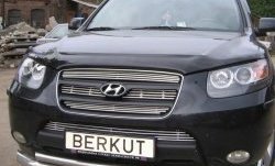 Декоративная вставка решетки радиатора Berkut Hyundai Santa Fe CM дорестайлинг (2006-2009)