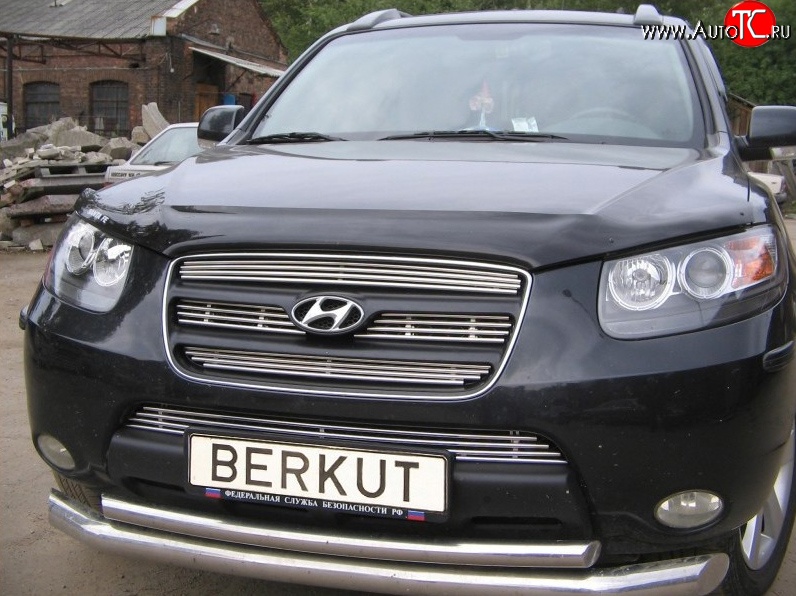 5 999 р. Декоративная вставка решетки радиатора Berkut Hyundai Santa Fe CM дорестайлинг (2006-2009)  с доставкой в г. Москва