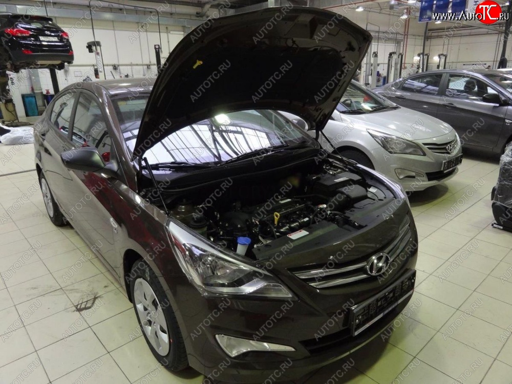 2 199 р. Газовые упоры капота Berkut Hyundai Solaris RBr седан рестайлинг (2014-2017)  с доставкой в г. Москва