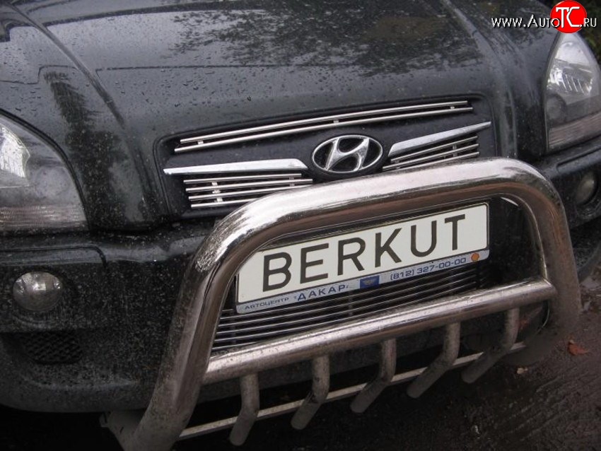 4 799 р. Декоративная вставка воздухозаборника Berkut Hyundai Tucson JM (2004-2010)  с доставкой в г. Москва