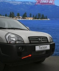 Декоративный элемент воздухозаборника Souz-96 (d10) Hyundai Tucson JM (2004-2010)