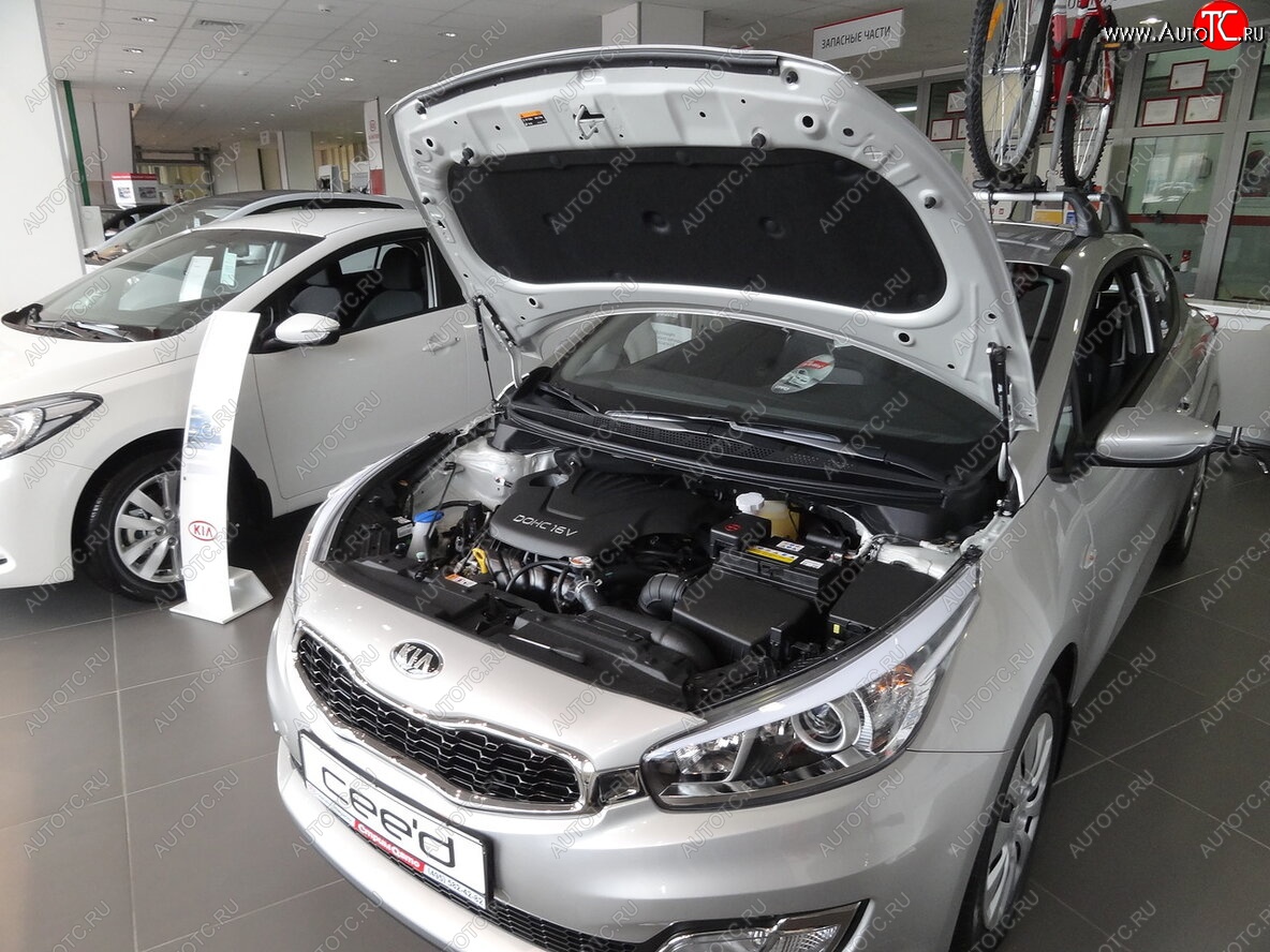 2 049 р. Упоры капота Russtal  KIA Ceed  2 JD (2012-2018) дорестайлинг универсал, дорестайлинг, хэтчбэк, рестайлинг универсал, рестайлинг, хэтчбэк  с доставкой в г. Москва