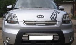 Декоративная вставка решетки радиатора AM Berkut KIA Soul AM дорестайлинг (2008-2011)