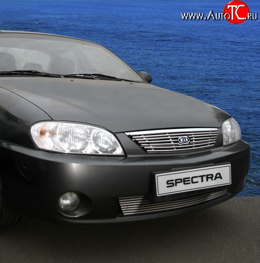 3 779 р. Декоративная вставка воздухозаборника Novline  KIA Spectra (2000-2009)  с доставкой в г. Москва