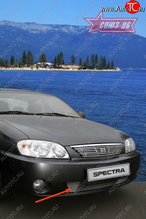 4 049 р. Декоративный элемент воздухозаборника Souz-96 (d10) KIA Spectra (2000-2009)  с доставкой в г. Москва