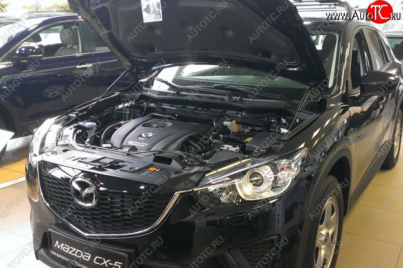 2 199 р. Газовые упоры капота Berkut Mazda CX-5 KE дорестайлинг (2011-2014)  с доставкой в г. Москва