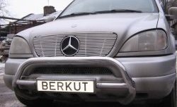 Декоративная вставка решетки радиатора Berkut Mercedes-Benz ML class W163 дорестайлинг (1997-2001)