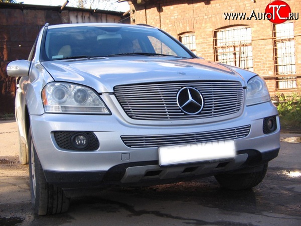 9 399 р. Декоративная вставка решетки радиатора Berkut Mercedes-Benz ML class W164 дорестайлинг (2005-2008)  с доставкой в г. Москва