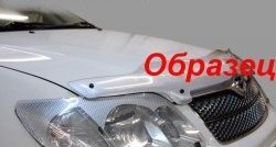 2 159 р. Защита фар CA-Plastik  Mitsubishi Pajero Sport  PB (2008-2013) дорестайлинг (Цвет: прозрачный)  с доставкой в г. Москва. Увеличить фотографию 6