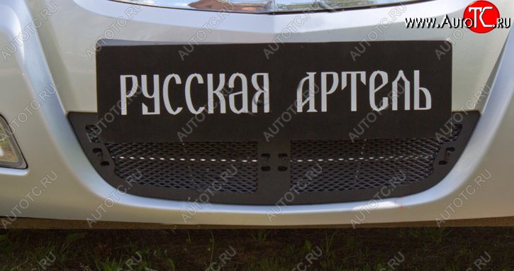 1 769 р. Защитная сетка решетки переднего бампера РА Nissan Almera Classic седан B10 (2006-2013)  с доставкой в г. Москва