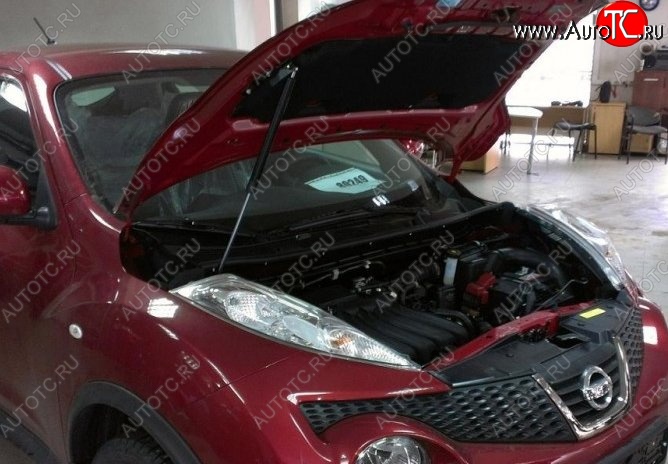 2 199 р. Газовый упор капота Berkut  Nissan Juke  1 YF15 (2010-2014) дорестайлинг  с доставкой в г. Москва