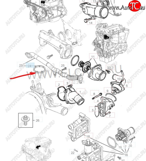 124 р. Уплотнительное кольцо маслопровода GM (дв. Z16XEP, к корпусу масляного фильтра)  Opel Astra ( H,  H GTC) (2004-2015) универсал, хэтчбек 3 дв. дорестайлинг, хэтчбек 5дв дорестайлинг, хэтчбек 3 дв. рестайлинг, универсал рестайлинг, хэтчбек 5дв рестайлинг  с доставкой в г. Москва