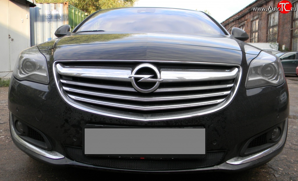 1 469 р. Сетка на бампер (рестайлинг) Russtal (черная) Opel Insignia A рестайлинг седан (2013-2017)  с доставкой в г. Москва