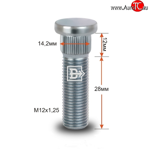 188 р. Забивная шпилька 28 мм ступицы Вектор M12x1.25x28 Fiat Punto 188 хэтчбэк 3 дв. рестайлинг (2003-2007)