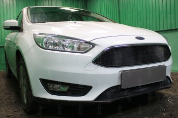 2 769 р. Защитная сетка в бампер (низ, ячейка 3х7 мм) Alfeco Стандарт Ford Focus 3 седан рестайлинг (2014-2019) (Чёрная)  с доставкой в г. Москва. Увеличить фотографию 2