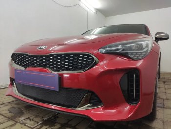 3 199 р. Защитная сетка в бампер (низ, ячейка 3х7 мм) Alfeco Стандарт KIA Stinger (2017-2024) (Чёрная)  с доставкой в г. Москва. Увеличить фотографию 4