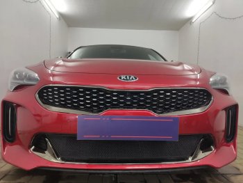 Защитная сетка в бампер (низ, ячейка 3х7 мм) Alfeco Стандарт KIA Stinger (2017-2024)  (Чёрная)