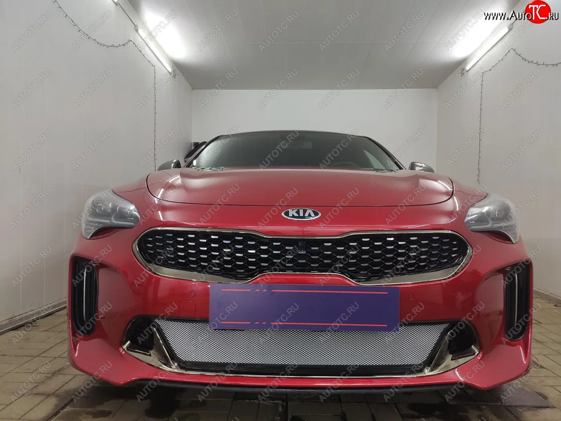 3 399 р. Защитная сетка в бампер (низ, ячейка 3х7 мм) Alfeco Стандарт KIA Stinger (2017-2024) (Хром)  с доставкой в г. Москва