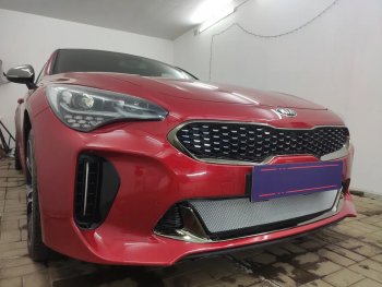 3 399 р. Защитная сетка в бампер (низ, ячейка 3х7 мм) Alfeco Стандарт KIA Stinger (2017-2024) (Хром)  с доставкой в г. Москва. Увеличить фотографию 3