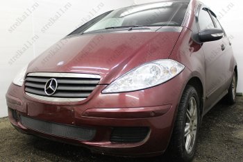 3 079 р. Защитная сетка в бампер (низ, ячейка 3х7 мм) Alfeco Стандарт Mercedes-Benz A class W169 дорестайлинг, хэтчбэк 5 дв. (2005-2008) (Чёрная)  с доставкой в г. Москва. Увеличить фотографию 2