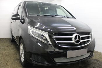 3 199 р. Защитная сетка в бампер (низ, ячейка 3х7 мм) Alfeco Стандарт  Mercedes-Benz Vito  W447 (2015-2020) дорестайлинг (Хром)  с доставкой в г. Москва. Увеличить фотографию 2