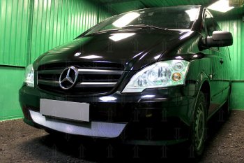 3 099 р. Защитная сетка в бампер (низ, ячейка 3х7 мм) Alfeco Стандарт  Mercedes-Benz Vito  W639 (2010-2014) рестайлинг (Хром)  с доставкой в г. Москва. Увеличить фотографию 3