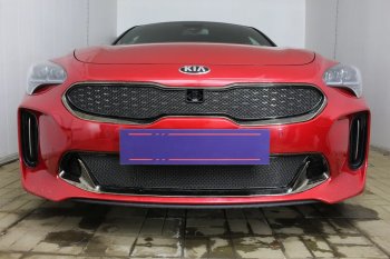 5 999 р. Защитная сетка в бампер (верх, ячейка 4х10 мм) Alfeco Премиум KIA Stinger (2017-2024) (Чёрная)  с доставкой в г. Москва. Увеличить фотографию 4