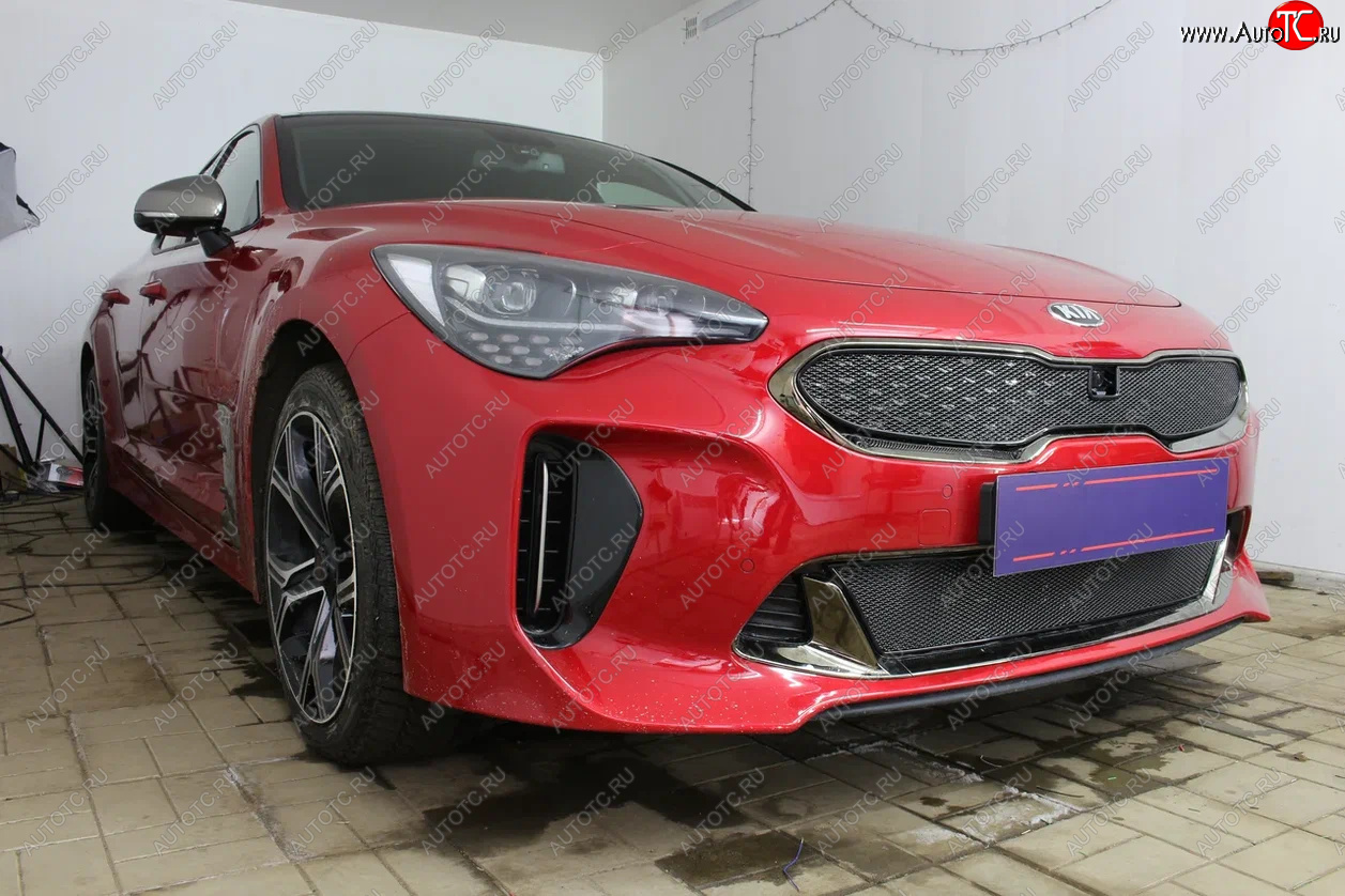 5 999 р. Защитная сетка в бампер (верх, ячейка 4х10 мм) Alfeco Премиум KIA Stinger (2017-2024) (Чёрная)  с доставкой в г. Москва