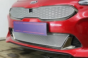 6 299 р. Защитная сетка в бампер (верх, ячейка 4х10 мм) Alfeco Премиум KIA Stinger (2017-2024) (Хром)  с доставкой в г. Москва. Увеличить фотографию 2