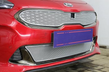 6 299 р. Защитная сетка в бампер (верх, ячейка 4х10 мм) Alfeco Премиум KIA Stinger (2017-2024) (Хром)  с доставкой в г. Москва. Увеличить фотографию 4