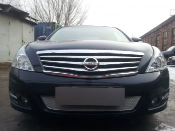 Защитная сетка в бампер (низ, ячейка 4х10 мм) Стрелка11 Премиум Nissan Teana 2 J32 дорестайлинг (2008-2011) ()