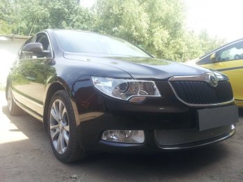 4 299 р. Защитная сетка в бампер (низ, ячейка 4х10 мм) Стрелка11 Премиум Skoda Superb B6 (3T) лифтбэк дорестайлинг (2008-2013) (Хром)  с доставкой в г. Москва. Увеличить фотографию 2