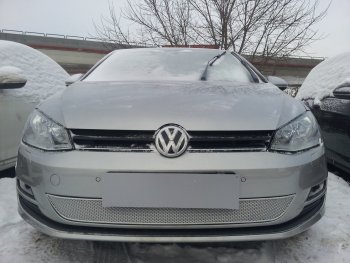 4 299 р. Защитная сетка в бампер (низ, ячейка 4х10 мм) Стрелка11 Премиум  Volkswagen Golf  7 (2012-2020) дорестайлинг, хэтчбэк 5 дв., рестайлинг универсал, рестайлинг, хэтчбэк 5 дв. (Хром)  с доставкой в г. Москва. Увеличить фотографию 1