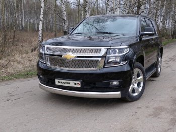 Защита переднего бампера нижняя овальная 120х60 мм ТСС Тюнинг Chevrolet Tahoe GMT900 5 дв. (2006-2013) ()