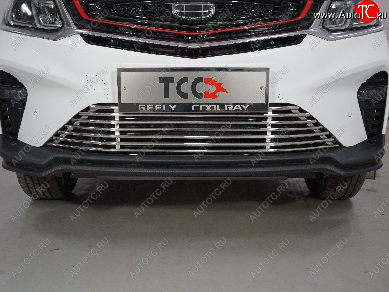 12 749 р. Декоративная вставка бампера (12 мм) ТСС Тюнинг  Geely Coolray  SX11 (2018-2025) дорестайлинг, рестайлинг  с доставкой в г. Москва